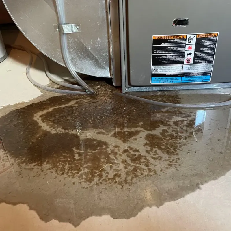 Pipe Burst and Leak Restoration in West Freehold, NJ